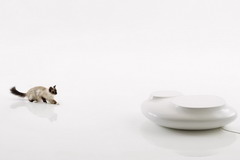 九洲国际官网(中国区)股份有限公司