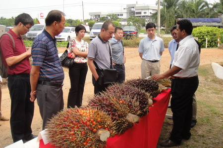 九洲国际官网(中国区)股份有限公司