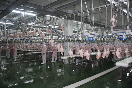 九洲国际官网(中国区)股份有限公司