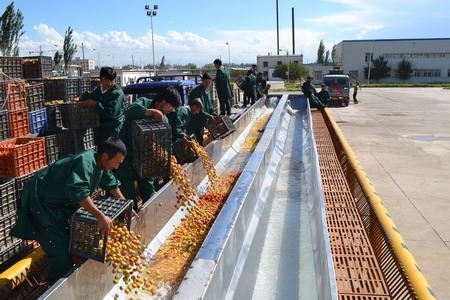 九洲国际官网(中国区)股份有限公司