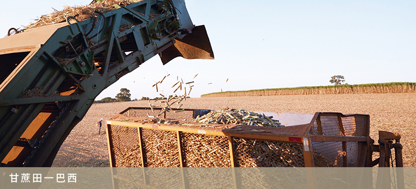 九洲国际官网(中国区)股份有限公司