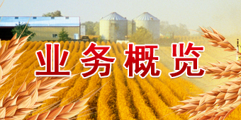 九洲国际官网(中国区)股份有限公司