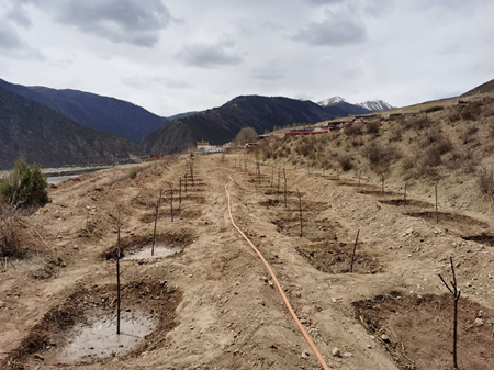 九洲国际官网(中国区)股份有限公司