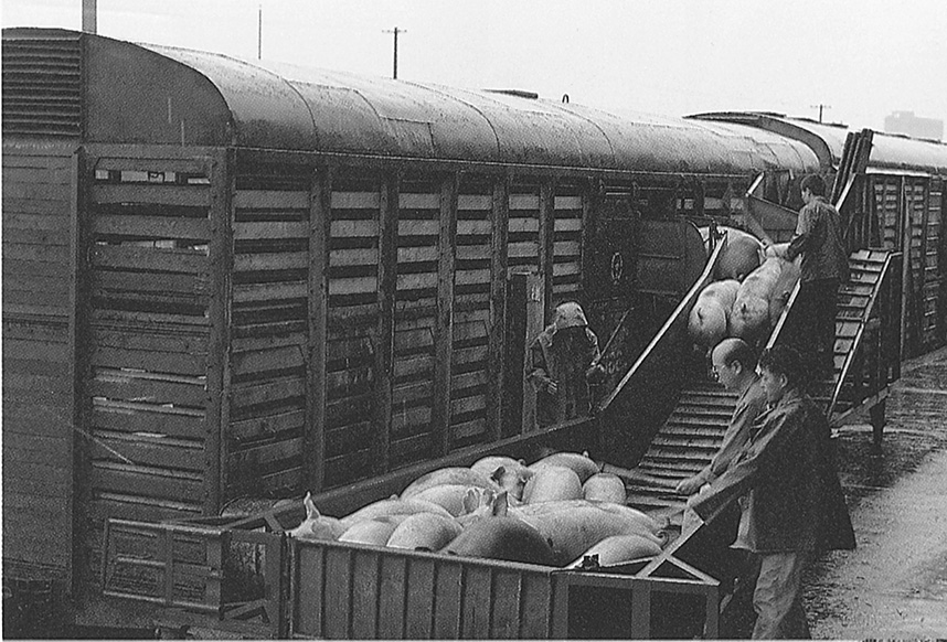 九洲国际官网(中国区)股份有限公司