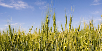 九洲国际官网(中国区)股份有限公司