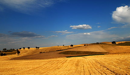 九洲国际官网(中国区)股份有限公司