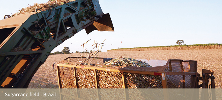 九洲国际官网(中国区)股份有限公司