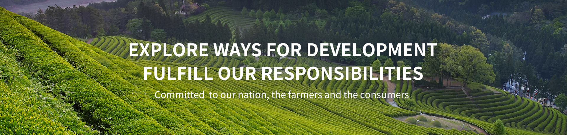 九洲国际官网(中国区)股份有限公司